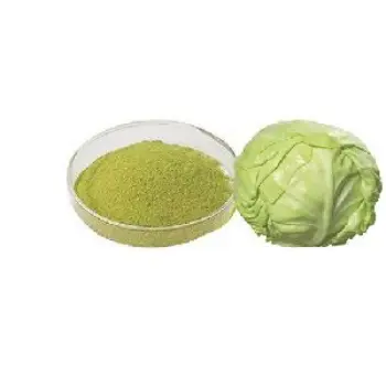  Fresh Cabbage Powder